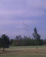 Des parachutes sur le golf : est-ce un signe ?